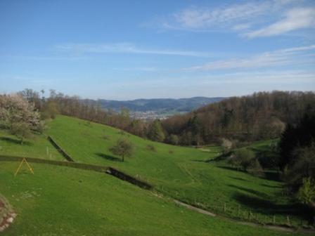 Waldschenke Fuhr Heppenheim (Bergstrasse) Exterior foto